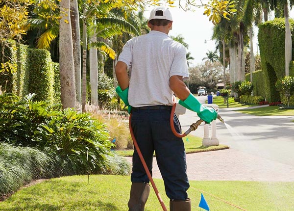 About Fort Supply OK Pest Control